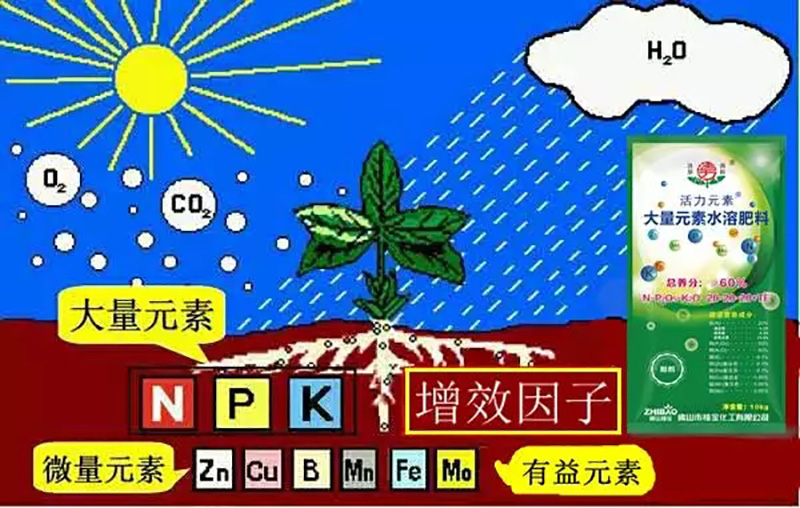 佛山市植寶生態(tài)科技有限公司