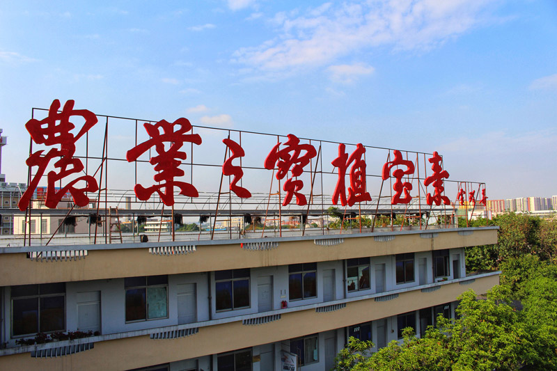 禪城育企:從“星星多月亮少”邁向“增量提質(zhì)”